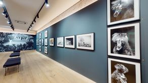 Leica-Store-Galerie-Munchen-Emanuele-Scorcelletti-Elegia-Fantastica-11