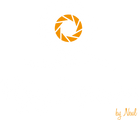 Flying Impressions Logo