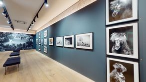 Leica-Store-Galerie-Munchen-Emanuele-Scorcelletti-Elegia-Fantastica-11